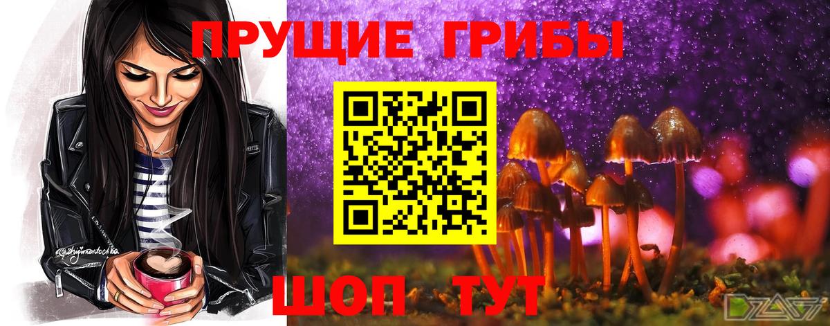 Галлюциногенные грибы ЛСД  Вход с VPN  Кудымкар  Галлюциногенные грибы MAGIC MUSHROOMS 