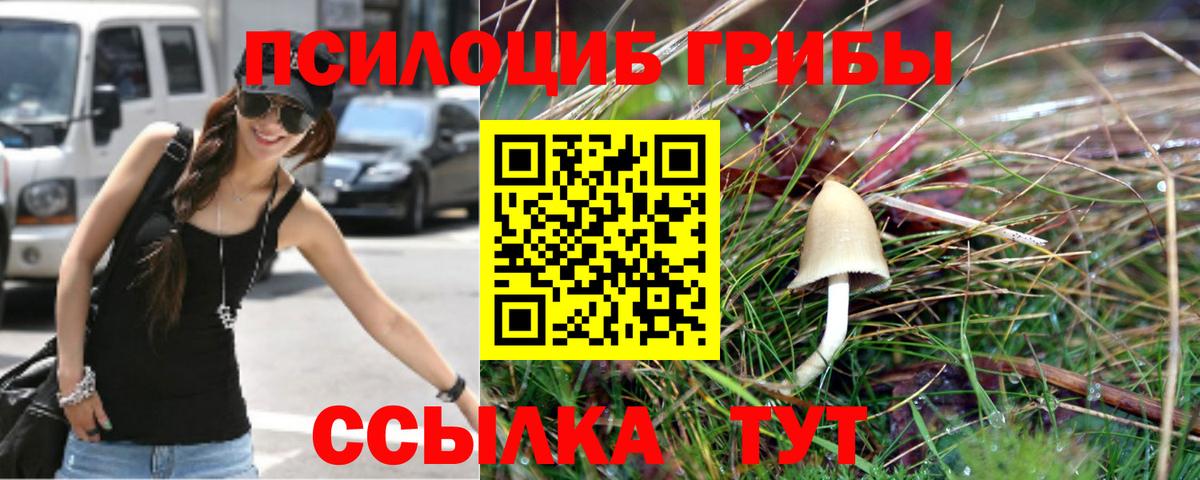 Псилоцибиновые грибы мицелий Кудымкар